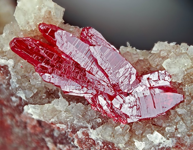 Bright red trigonal crystals nestled among some white crystals (I'm not sure if they're quartz or dolomite). 